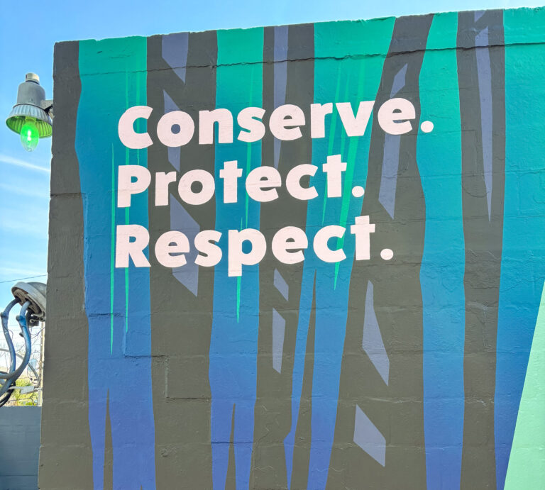 Florida Pink Panther VoLo Foundation Mural Orlando A Pivotal Character Artworks Street Art Fabrication Signage Graffiti Painting Climate Change Awareness Conservation Environment Everglades SEESKIP Charity Public Art Hire Professional Nashville Miami Tampa St Petersburg Artist Hire Muralist