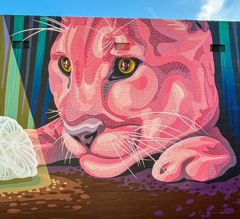 Florida Pink Panther VoLo Foundation Mural Orlando A Pivotal Character Artworks Street Art Fabrication Signage Graffiti Painting Climate Change Awareness Conservation Environment Everglades SEESKIP Charity Public Art Hire Professional Nashville Miami Tampa St Petersburg Artist Hire Muralist